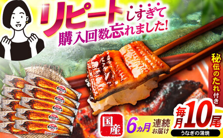 y6ցzy|WzȂ10 / Ȃ EiM V   V / |s / |W [AHAT022]