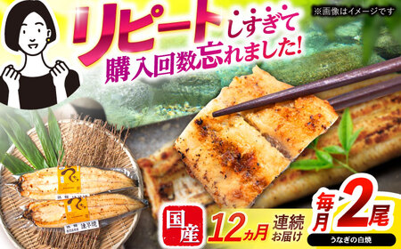 y12ցzy|WzȂĂ2  / Ȃ Ă h{  Ⓚ / |s / |W [AHAT047]