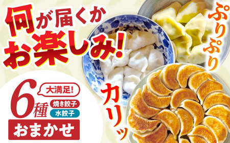 餃子 6種おまかせ便 / ギョウザ ぎょうざ 餃子 焼餃子 水餃子 冷凍 / 諫早市 / 餃子のかわしも [AHBM005]