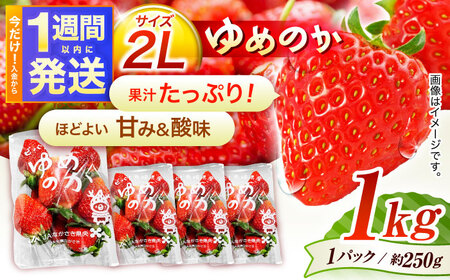 [1週間以内発送/限定数量][贈答用でも使える]長崎いちご「ゆめのか」2Lサイズ 約250g×4パック 合計1000g /苺 イチゴ いちご フルーツ デザート ジューシー ギフト 贈り物 1kg 4P 九州 九州 /諫早市/長崎県央農業協同組合Aコープ本部[AHAA033]