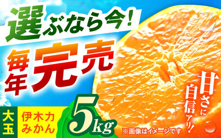 ※【2025年11月発送分／先行予約】伊木力みかん (大玉)5kg / みかん ミカン 蜜柑 柑橘 フルーツ ふるーつ 果物 くだもの / 諫早市 / 山野果樹園[AHCF007]