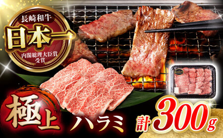 [柔らかさとコクの融合!]長崎和牛 ハラミ 300g / 国産 牛肉 和牛 焼肉 はらみ / 諫早市 / 野中精肉店[AHCW115]
