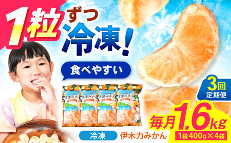 【3回定期便】※【11月より発送／先行予約】 冷凍 伊木力みかん 1.6kg(400g×4) / みかん ミカン 蜜柑 柑橘 フルーツ ふるーつ 果物 くだもの 冷凍 冷凍みかん / 諫早市 / 山野果樹園[AHCF011]