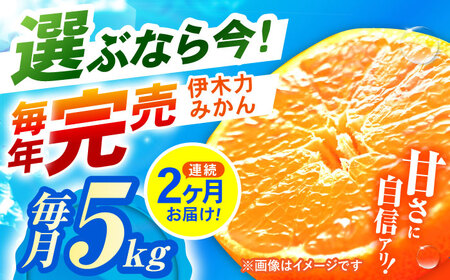 [2回定期便]※[11月より発送/先行予約] 伊木力みかん (家庭用) 5kg / みかん ミカン 蜜柑 柑橘 フルーツ ふるーつ 果物 くだもの / 諫早市 / 山野果樹園[AHCF008]