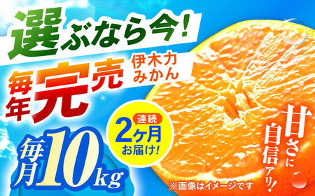 【2回定期便】※【11月より発送／先行予約】 伊木力みかん (家庭用) 10kg / みかん ミカン 蜜柑 柑橘 フルーツ ふるーつ 果物 くだもの / 諫早市 / 山野果樹園[AHCF012]