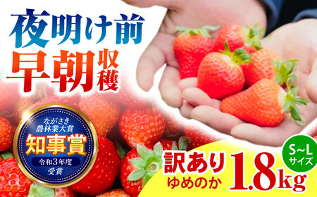 ※[2026年2月発送分/先行予約][訳あり][とろける甘さ、弾ける果汁!]いちご「ゆめのか」 S-Lサイズ 1.8kg / 訳あり 商品 果物 果物 いちご イチゴ 苺 イチゴジャム / 諫早市 / むらたサービス [AHFA003]