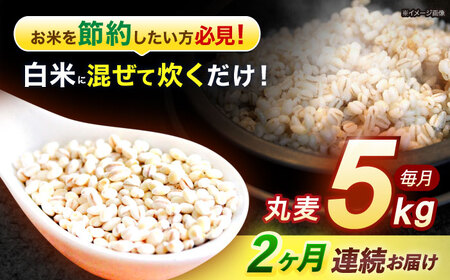 [2回定期便]長崎県産 丸麦 5kg / 麦 むぎ 雑穀 雑穀米 麦ごはん 麦飯 麦みそ 食物繊維 / 諫早市 / 有限会社伊東精麦 [AHBU013]