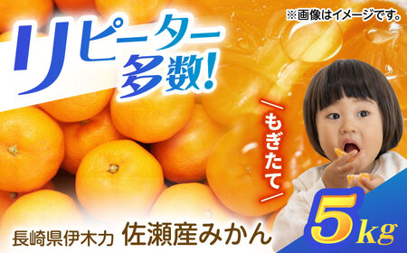 qstrɖ͍݂ؗ5kg(TCYFS`L)@/@݂@݂@ɖ݂ؗ͂@Yn@Y@/@|s@/@Rcʎ[AHAJ004]