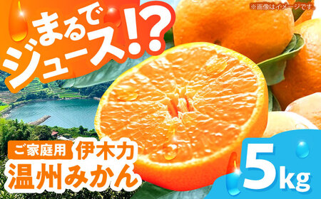 ※【2027年1月より順次発送／先行予約】伊木力温州みかん5kg(ご家庭用、箱入り) / 伊木力 温州みかん みかん ミカン 蜜柑 佐瀬 諫早 多良見 長崎 / 末永果樹園[AHBD003]