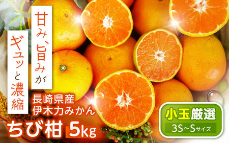 y2025N11菇^s\zsr[Ly[{tɖ݂ؗ͂(ъ) 5kg / ݂ s ݂sTCY ~J  k t[c ӂ[ ʕ  / |s / R