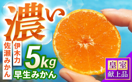 ݂@5kg / |s /ɍ_[AHFI011]