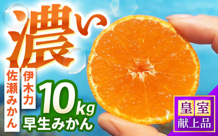 ݂@10kg / |s /ɍ_[AHFI012]