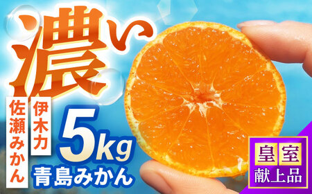 ݂@5kg / |s /ɍ_[AHFI013]