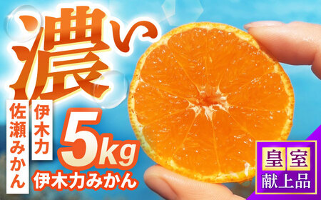 ɖ݂ؗ͂@5kg / |s /ɍ_[AHFI015]