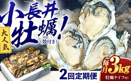 [2回定期便]長崎県諫早市小長井牡蠣(殻付きカキ)3kgカキナイフ付き / 牡蠣 かき カキ 小長井牡蠣 貝 / 諫早市 / 諫早湾漁業共同組合[AHBJ010]
