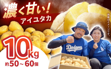 ���Ⴊ���� �A�C���^�J 10kg (S?2L�T�C�Y/��50?60��) / ���Ⴊ���� �W���K�C�� �|�e�g ��B �����䂽�� �A�C���^�J ��� �₳�� / �|���s / �X�}�C���t�@�[���@[AHFG001]