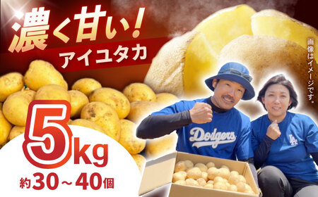 ���Ⴊ���� �A�C���^�J 5kg (S?2L�T�C�Y/��30?40��) / ���Ⴊ���� �W���K�C�� �|�e�g ��B �����䂽�� �A�C���^�J ��� �₳�� / �|���s / �X�}�C���t�@�[���@[AHFG002]