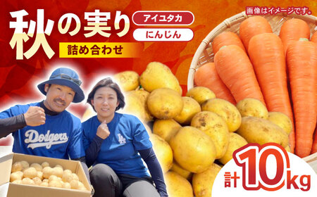 �H�̎���l�����i�A�C���^�J�E�j���W���j10kg / ���Ⴊ���� �W���K�C�� �|�e�g ��B �����䂽�� �A�C���^�J �ɂ񂶂� �j���W�� �l�Q ��� �₳�� / �|���s / �X�}�C���t�@�[���@[AHFG009]