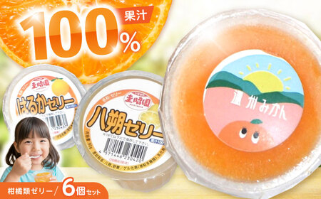 柑橘類ゼリー (2個×3種) 6個セット / ゼリー ぜりー 果汁ゼリー 柑橘 八朔 温州みかん はるか / 諫早市 / 圭昭園 [AHAZ010]