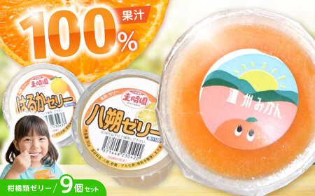 ���k�X���[�W�[�[���[ (3��×3��) 9�Z�b�g / �[���[ ����[ �ʏ`�[���[ ���k ���� ���B�݂��� �͂邩 / �|���s / �\�����@[AHAZ012]