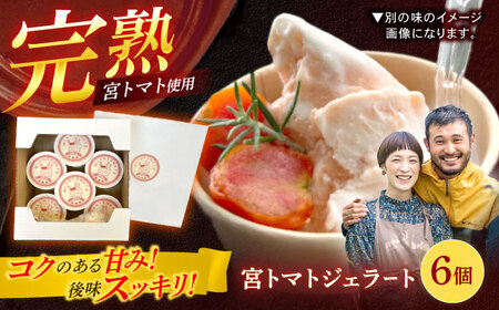 宮トマトジェラート 80ml×6個 / ジェラート トマト とまと アイス アイスクリーム スイーツ / 諫早市 / 宮下農園[AHCG032]