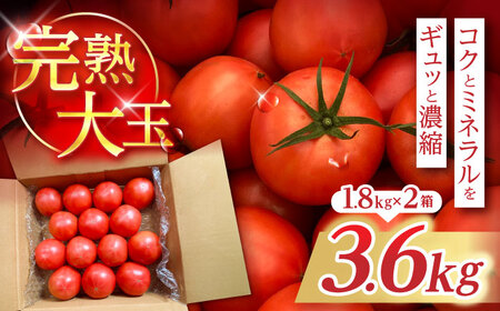 ���n��ʃg�}�g 3.6kg(1.8kg×2) / �g�}�g �Ƃ܂� tomato �g�}�g�W���[�X ��� �₳�� �T���_ ���n �Â� / �|���s / �ؐH���_��[AHFK001]