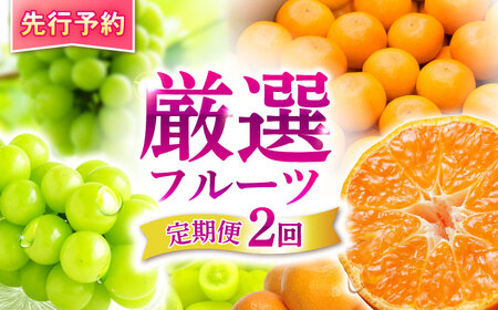 [2回定期便]※[2026年シーズン発送/先行予約]フルーツ定期便 シャインマスカット 約1.3kg(2〜3房) / 温州みかん(10kg) 家庭用 / フルーツ 果物 シャインマスカット みかん / 諫早市 / 肥前グローカル株式会社[AHDI012]