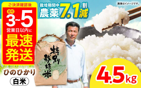[R7年産]九州のこだわり「ひのひかり」白米 4.5kg / 米 こめ コメ お米 おこめ 白米 精米 白ご飯 ひのひかり ヒノヒカリ 長崎県産 / 諫早市 / 上島農産[AHAS014]