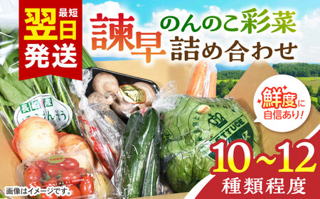 諫早のんのこ彩菜・詰め合わせ 10〜12品目程度 / 季節 旬 野菜 やさい 春野菜 夏野菜 秋野菜 セット 詰め合わせ / 諫早市 / 肥前グローカル株式会社 [AHDI005]