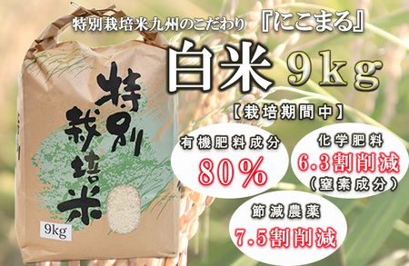 [特別栽培米]九州のこだわり「にこまる」白米9kg / 米 おこめ お米 白米 にこまる / 諫早市 / 上島農産 [AHAS001]