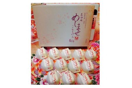 めしませこらーげん プレーン 12個入りセット 長崎県諫早市 ふるさと納税サイト ふるなび