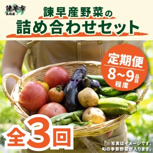 『定期便』諫早産野菜の詰め合わせ(8〜9品目程度)全3回
