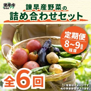 『定期便』諫早産野菜の詰め合わせ(8～9品目程度)全6回