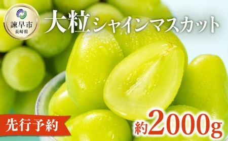 【先行予約】長崎県産シャインマスカット 2.0kg