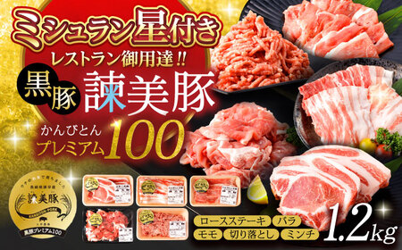 黒豚諫美豚プレミアム100 5種詰め合わせ 1.2kg / 豚肉 ぶたにく ロースステーキ しゃぶしゃぶ 切り落とし ミンチ / 諫早市 / 株式会社土井農場 [AHAD047]