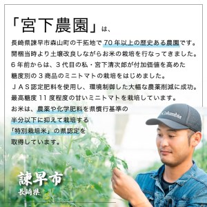 「プレ宮トマト ゴールド」1㎏+長崎県認定特別栽培米ひのひかり10㎏　宮下農園　ミニトマト　プチトマト