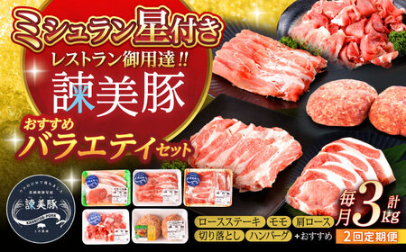 [2回定期便][米で育てた]諫美豚おすすめバラエティセット3kg / 豚肉 ぶたにく 豚 ポーク 肩ロース ステーキ モモ 切り落とし ハンバーグ ロースステーキ パック 小分け / 諫早市 / 株式会社土井農場 [AHAD001]