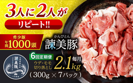 y6ցzؓ؂藎Ƃ2.1kg!|̕ĂňĂ| / | ؓ ؂藎Ƃ    Y lC XCX / |s / Гy_ [AHAD016]