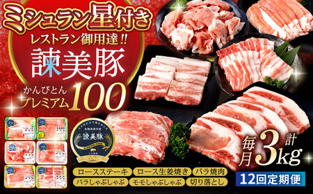 [12回定期便][米で育てた]諫美豚プレミアム100おすすめセット3kg / 豚肉 ぶたにく 豚 ポーク 肩ロース ステーキ モモ 切り落とし ハンバーグ ロースステーキ パック 小分け/ 諫早市 / 株式会社土井農場 [AHAD033]