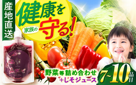 野菜・果物・きのこ詰め合わせ 7～10品目 / 野菜 やさい 果物 くだもの フルーツ ふるーつ きのこ 旬 新鮮 セット / 諫早市 / 松尾農園 [AHAY002]