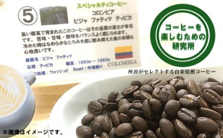 自家焙煎ハイグレードコーヒーを含むおまかせセット(中挽き) / ハイグレードコーヒー ブレンド コーヒー 豆 中挽き / 諫早市 / R and R coffee labo [AHCJ003]