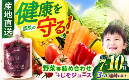 【全3回定期便】野菜・果物・きのこ詰め合わせ 7～10品目 / 野菜 やさい 果物 くだもの フルーツ ふるーつ きのこ 旬 新鮮 セット / 諫早市 / 松尾農園 [AHAY007]