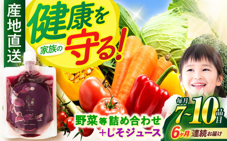 【全6回定期便】野菜・果物・きのこ詰め合わせ 7～10品目 / 野菜 やさい 果物 くだもの フルーツ ふるーつ きのこ 旬 新鮮 セット / 諫早市 / 松尾農園 [AHAY010]