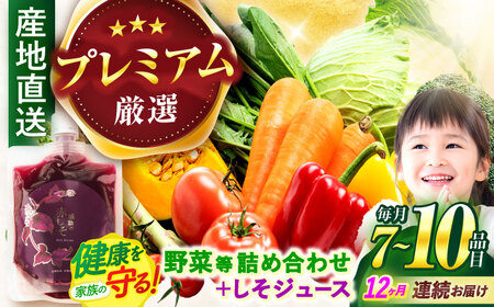 【全12回定期便】【プレミアム】野菜・果物・きのこ詰め合わせ 7～10品目 / 野菜 やさい 果物 くだもの フルーツ ふるーつ きのこ 旬 新鮮 セット / 諫早市 / 松尾農園 [AHAY027]