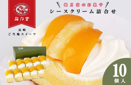 長崎レトロモダンケーキ シースクリーム 10個 / ケーキ けーき ご当地ケーキ カスタード スイーツ 洋菓子 冷凍 / 諫早市 / 株式会社梅月堂 [AHBN002]