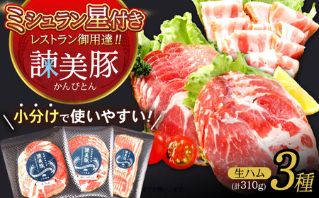 諫美豚生ハム&生ベーコン3種セット計4P / 豚肉 ぶたにく ハム はむ 生ハム ベーコン 生ベーコン ロース 肩ロース バラ 小分け / 諫早市 / 株式会社土井農場 [AHAD058]