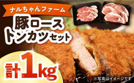 it@[ ؃[XgJcZbg v1kg / ؓ ؃[X [X [ Ƃ񂩂 gJc  / 呺s / ނ疲t@[VV[ACAA016]
