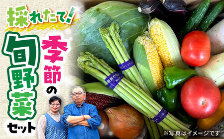 農家自慢 季節の野菜セット 詰め合わせ / 大村市 / 産直松吉[ACZC001] 野菜詰め合わせ セット やさい やさい 