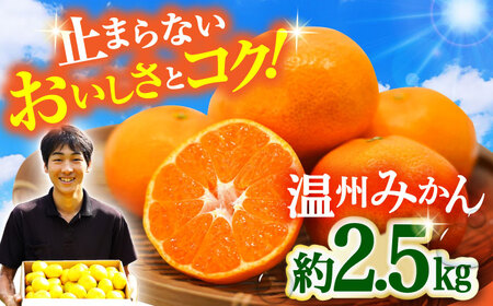 [11月中旬発送開始]温州みかん 約2.5kg [ACAI001] みかん みかん みかん みかん みかん みかん みかん