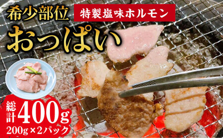 【希少部位おっぱい】特製塩味ホルモン  (200g × 2パック) 総計約400g / ホルモン 塩ホルモン 胃袋 焼肉 / 大村市 / 塩ホルモンろくめい[ACAO003]